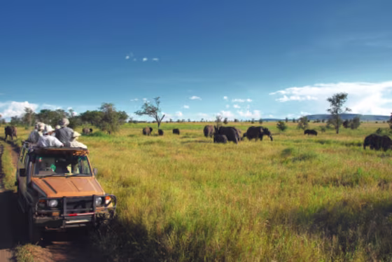 Tanzania continues to be a hot destination for wildlife viewing, and this World Wildlife Fund-endorsed tour puts visitors in a position to see significant African fauna, including African elephants.